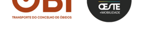 obi_botao_2024_vers2