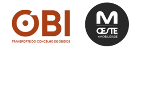 OBI - Transporte do Concelho