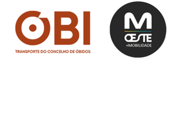 obi_botao_2024_vers2