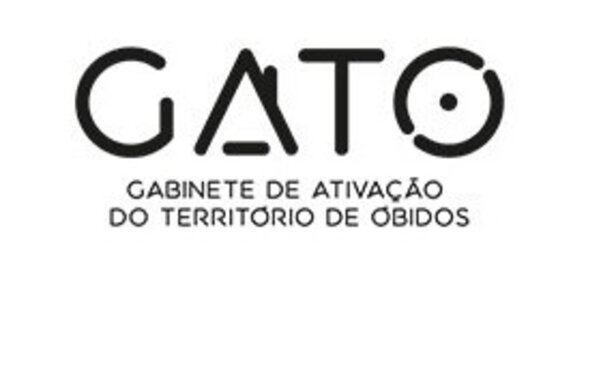 gato_destaque_2