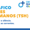 Tráfico de Seres Humanos