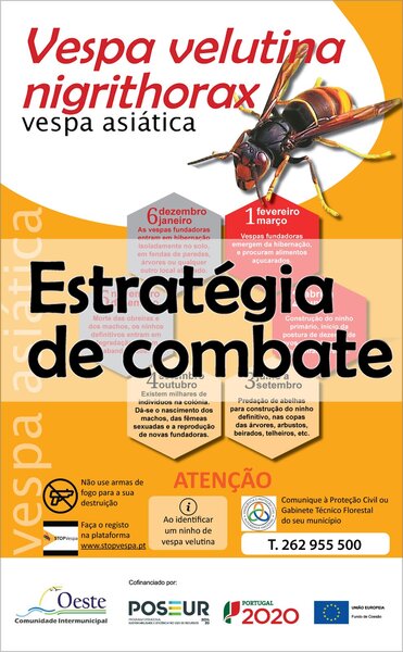 cartaz_vespa_obidos_destaque_b