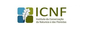 icn_logo_2