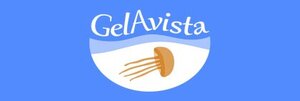 gelavista_logo