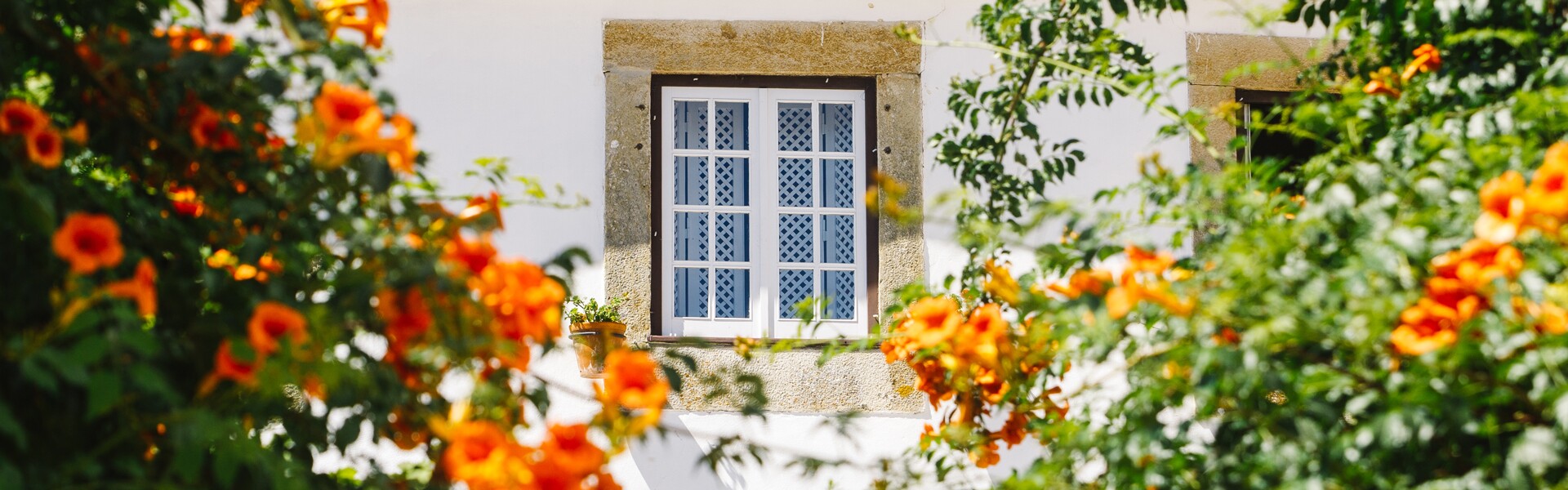 capa_obidos3