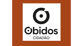 app_cidadao_balc_virtual