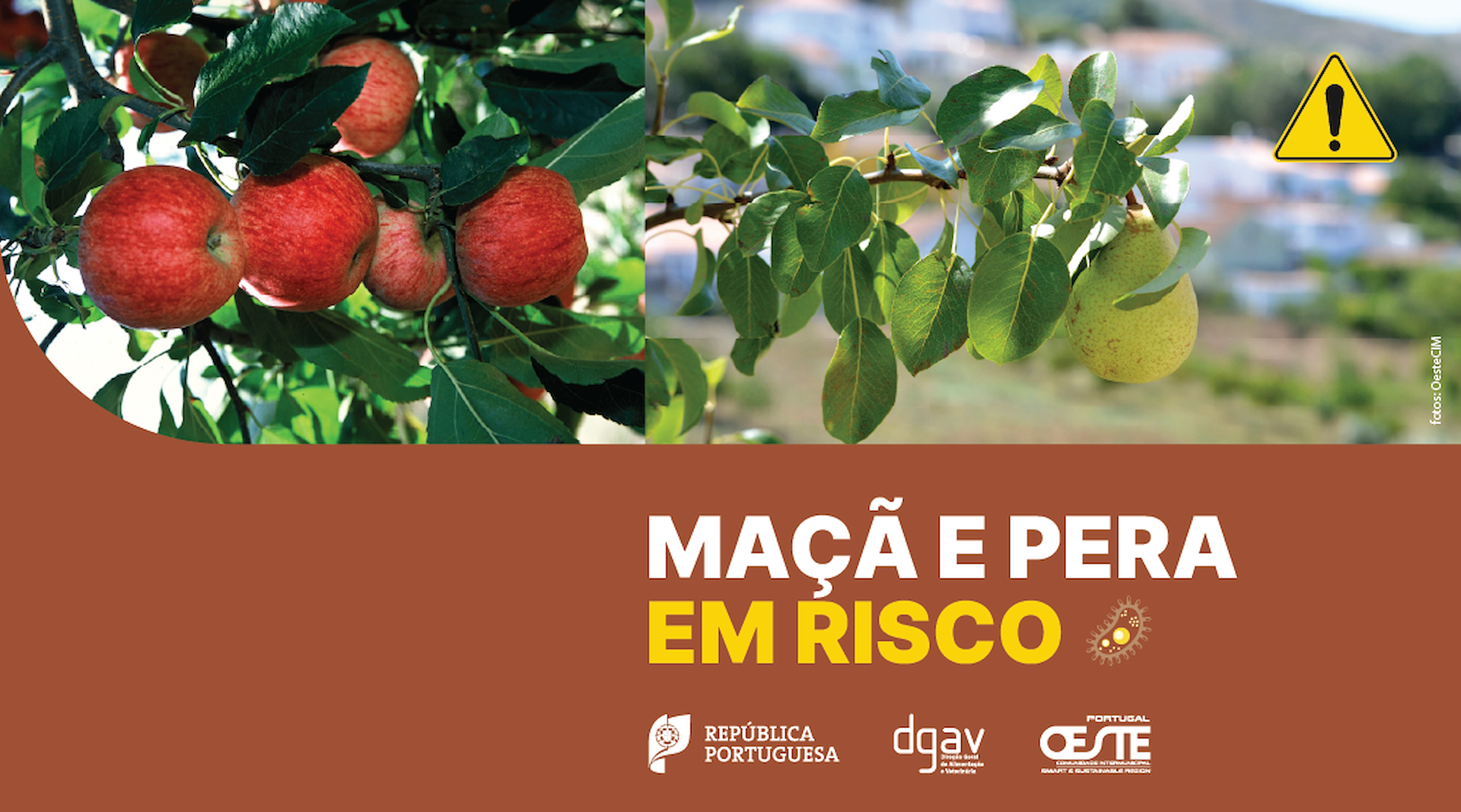 OesteCIM e DGAV lançam campanha de sensibilização contra o fogo bacteriano