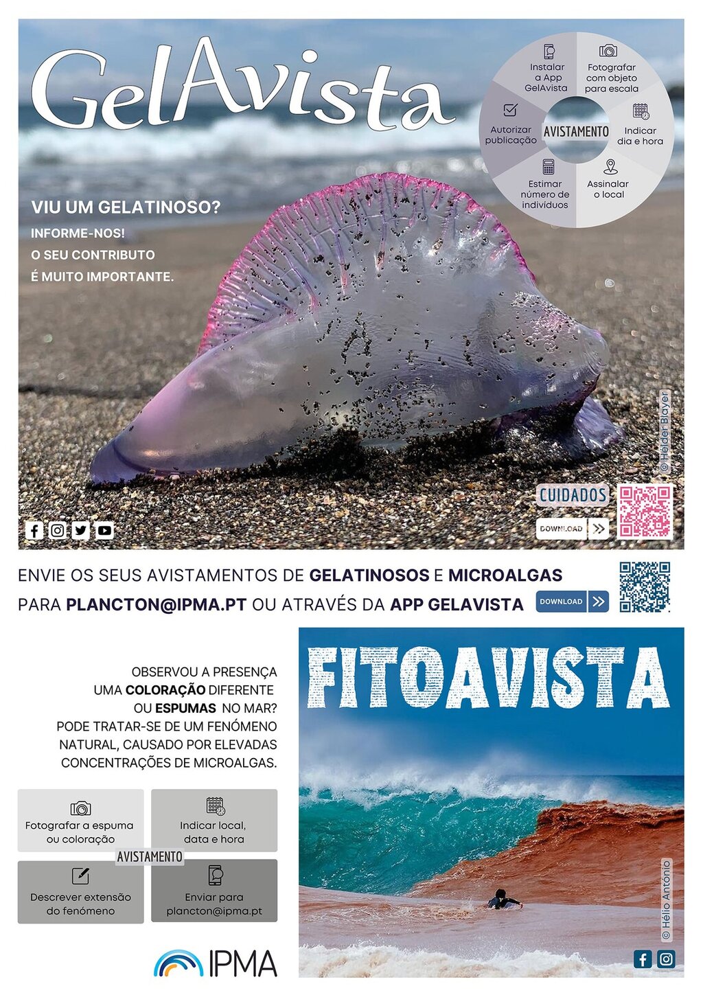 Cartaz Praia Gelatinosos