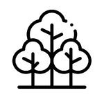 app_cidadaos_floresta_a