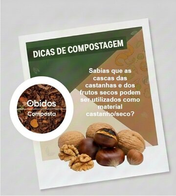 Dicas Compostagem